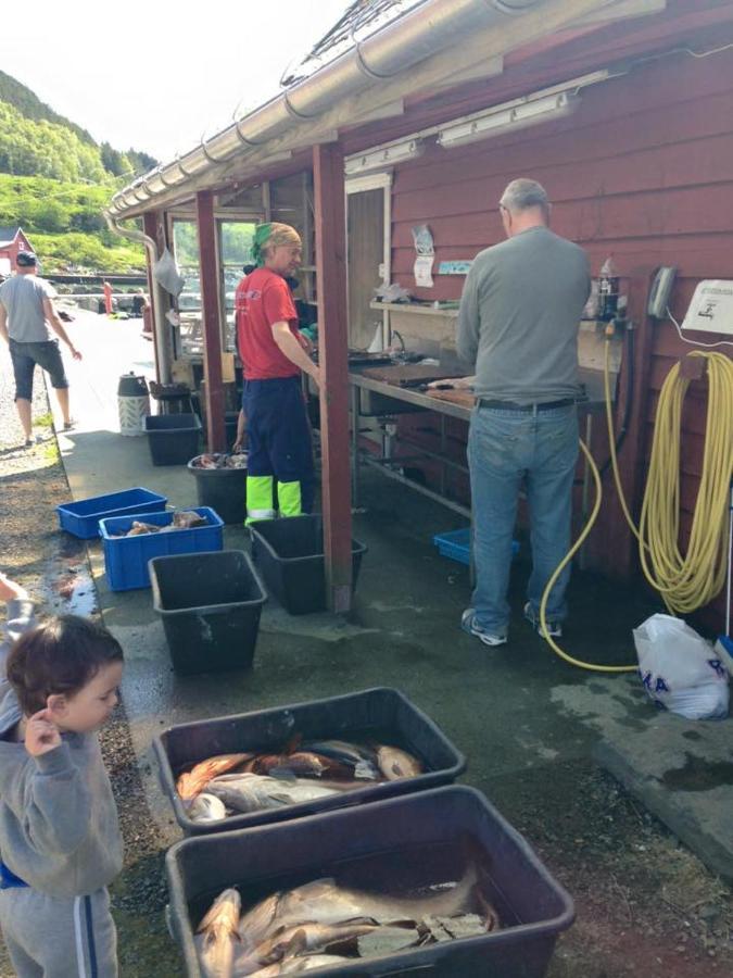 Appartamento Bakkevik Brygge Kalvåg Esterno foto